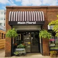 Main Floral