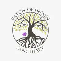 Patch Of Heaven Sanctuary - 20 acre Regenerated Forest Preserve/Nature-Based Mindful Retreat Center