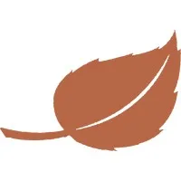Aspen Healthcare