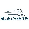 Blue Cheetah Analog Design, Inc. Blue Cheetah Analog Design, Inc.