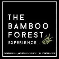 The Bamboo Forest Experience