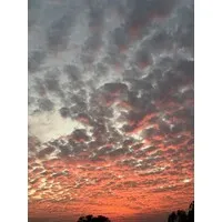 Ashtanga Yoga Garage