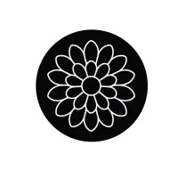 Geometric AI