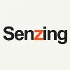 Senzing Senzing