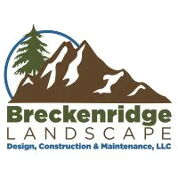 Breckenridge Landscape