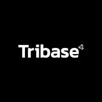 TRIBASE CONSTRUTORA