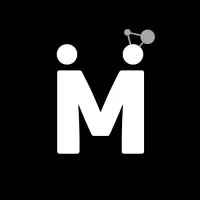 Mentor Mesh