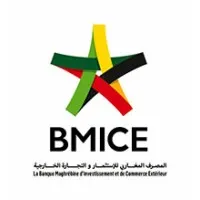  Banque Maghrébine d’Investissement et de Commerce Extérieur (BMICE)