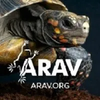 Association of Reptile and Amphibian Veterinarians (ARAV) Association of Reptile and Amphibian Veterinarians (ARAV)
