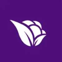 Violetta Cosméticos