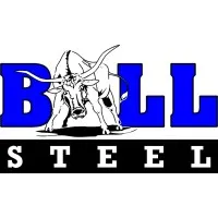 Bull Steel