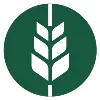 WireBarley WireBarley