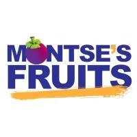 It's Montse Inc.