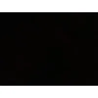 Fauji Fertilizer Bin Qaism Limited