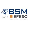 BSM Lean Consultants