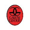 Galesi Group Galesi Group