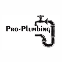 Pro Plumbing