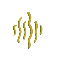 Seacork Studio Seacork Studio