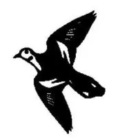 White Wing Inspection, Inc. White Wing Inspection, Inc.