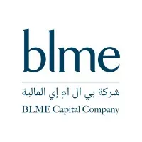 BLME Capital | بي ال ام إي المالية