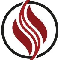 Spark Strategic Consulting