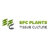 Egyptian French Company for Plant Tissue Culture Egyptian French Company for Plant Tissue Culture