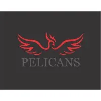 Pelicans Pelicans