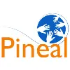 PINEAL CONSULTORES PINEAL CONSULTORES