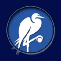 Global Security Institute