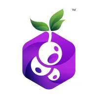 Blackcurrant Labs Pvt. Ltd.