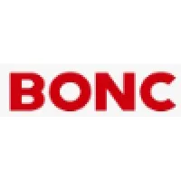 Business-Intelligence Of Oriental Nations Corporation Ltd.