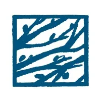 Connections Psychology