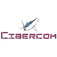 Cibernética en el siglo XXI SA de CV