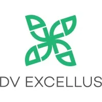 DV Excellus Pvt. Ltd. DV Excellus Pvt. Ltd.