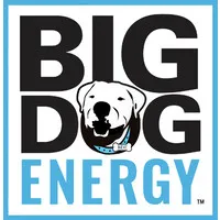 Big Dog Energy, LLC