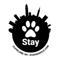 Stay Dog Daycare and Boarding Stay Dog Daycare and Boarding