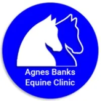 Agnes Banks Equine Clinic