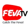 FEVA TV FEVA TV