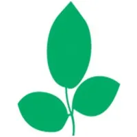 Wellness Therapies Wellness Therapies