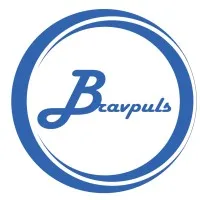 BRAVPULS TECHNOLOGIES 