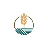 The Romine Group The Romine Group