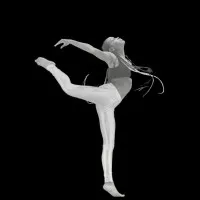 Amanda Selwyn Dance Theatre/Notes in Motion