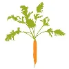 Stone Barns Center for Food & Agriculture