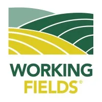 Working Fields