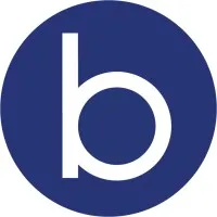 Bogg Bag