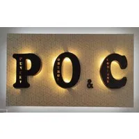 PUNEET OBEROI & CO