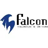 Falcon Inspection & Services Falcon Inspection & Services