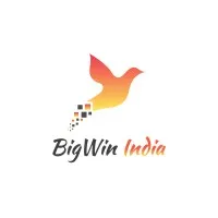 BigWin Consultants