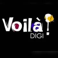 Voila Digi Private Limited