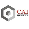 CognoticAI Inc